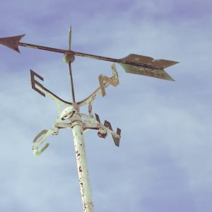 ΑΞΙΟΛΟΓΗΣΗ ΕΠΑΓΓΕΛΜΑΤΙΚΟΥ ΠΡΟΣΑΝΑΤΟΛΙΣΜΟΥ